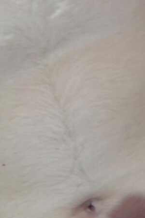 My Wife Cheats me for her School Teacher