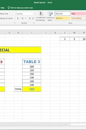 Paste Special in Excel