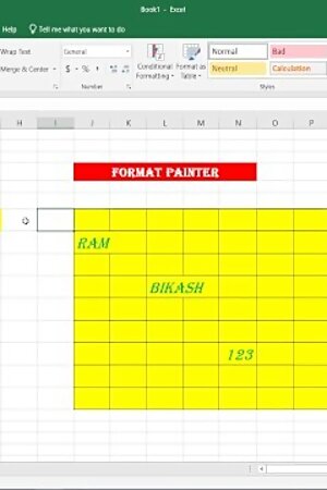 Format Painter in Excel