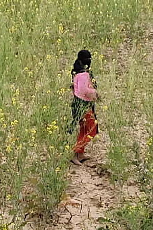 Outdoor girl fucking with Teacher and student