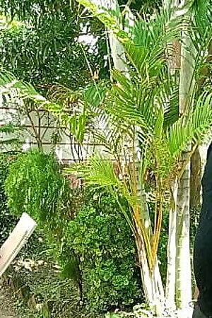 Indian hot xxx sex! Don'_t cum inside pussy!