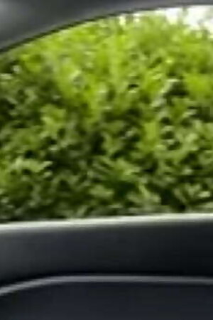 Call  91=8427368710 Sally Singh  24&amp_7 All world